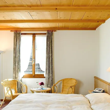 Hotel Baeren 3*